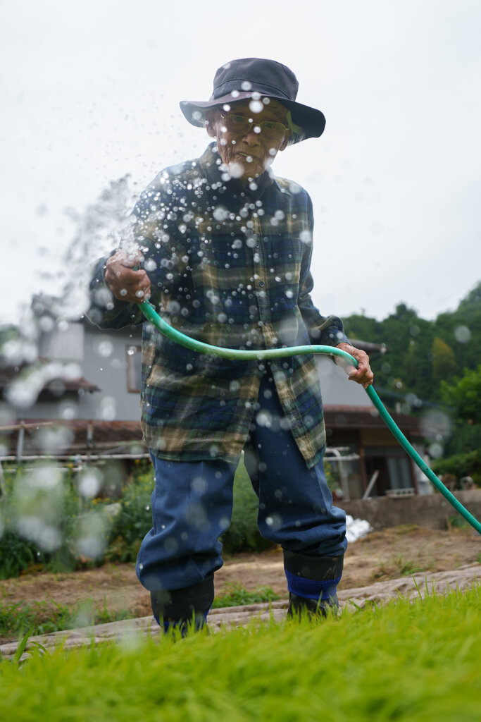 Những cụ già Nhật Bản trăm tuổi vẫn đi làm- Ảnh 5.