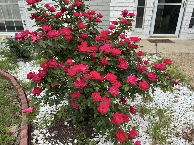 Toàn cảnh bất động sản của Toàn cảnh bất động sản của