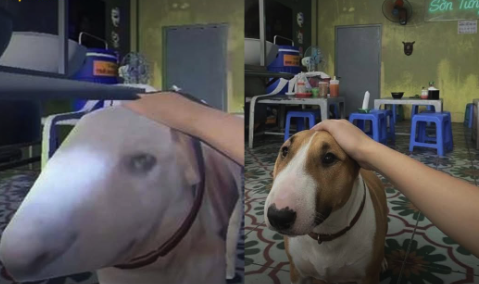 - Ảnh 1. - Ảnh 1.