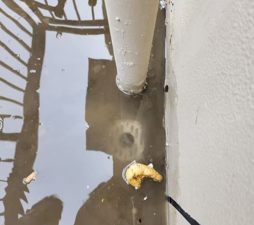 Mua căn hộ tầng hai có sân thượng tưởng trúng số, nhưng khi chuyển đến tôi mới biết đó là khởi đầu của chuỗi ngày “ác mộng”- Ảnh 5.