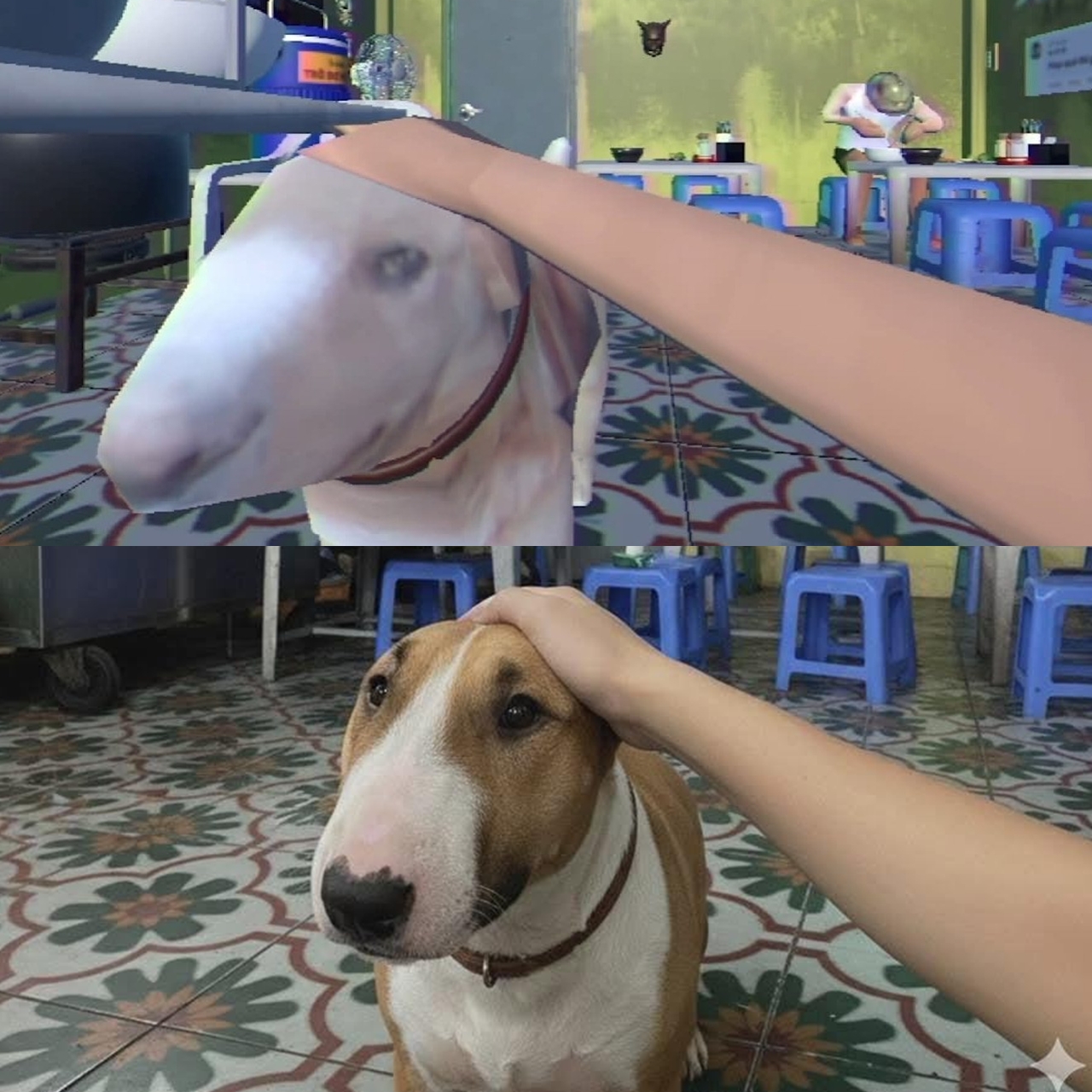 - Ảnh 2. - Ảnh 2.