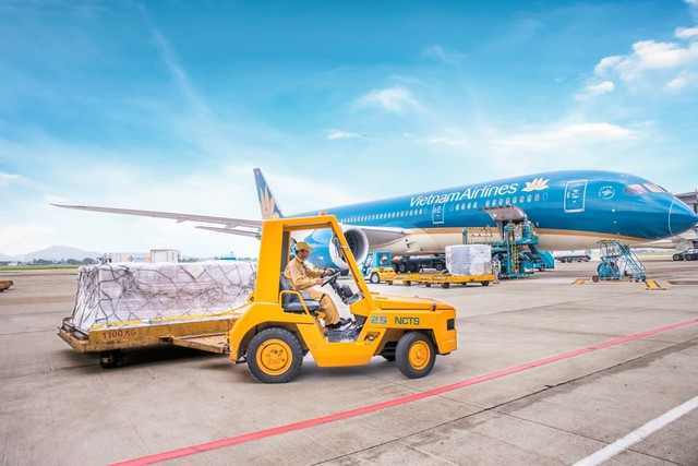 Dịch vụ Hàng hóa Nội Bài sắp chia cổ tức bằng tiền mặt tỷ lệ 80%- Ảnh 1. Dịch vụ Hàng hóa Nội Bài sắp chia cổ tức bằng tiền mặt tỷ lệ 80%- Ảnh 1.