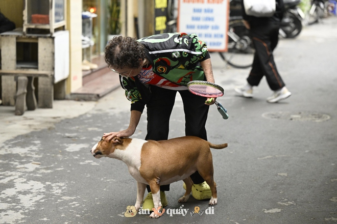 Cận cảnh chú chó “thần tài” nổi tiếng nhất Hà Nội hiện nay: Tiếp khách mệt nghỉ, giúp quán tăng doanh thu cao ngất- Ảnh 5. Cận cảnh chú chó “thần tài” nổi tiếng nhất Hà Nội hiện nay: Tiếp khách mệt nghỉ, giúp quán tăng doanh thu cao ngất- Ảnh 5.