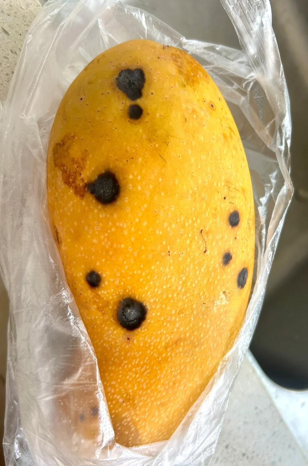 6 lối tiết kiệm mù quáng: Dẫn lối ung thư, đào hố chôn mình- Ảnh 5. 6 lối tiết kiệm mù quáng: Dẫn lối ung thư, đào hố chôn mình- Ảnh 5.