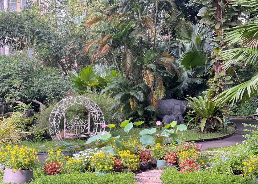 Từng suýt đóng cửa vì nợ thuế 850 tỷ đồng, vườn thú 160 năm tuổi bất ngờ thông báo có lãi hơn 4,8 tỷ: Vé vào cổng chiếm hơn 60% tổng doanh thu- Ảnh 3.