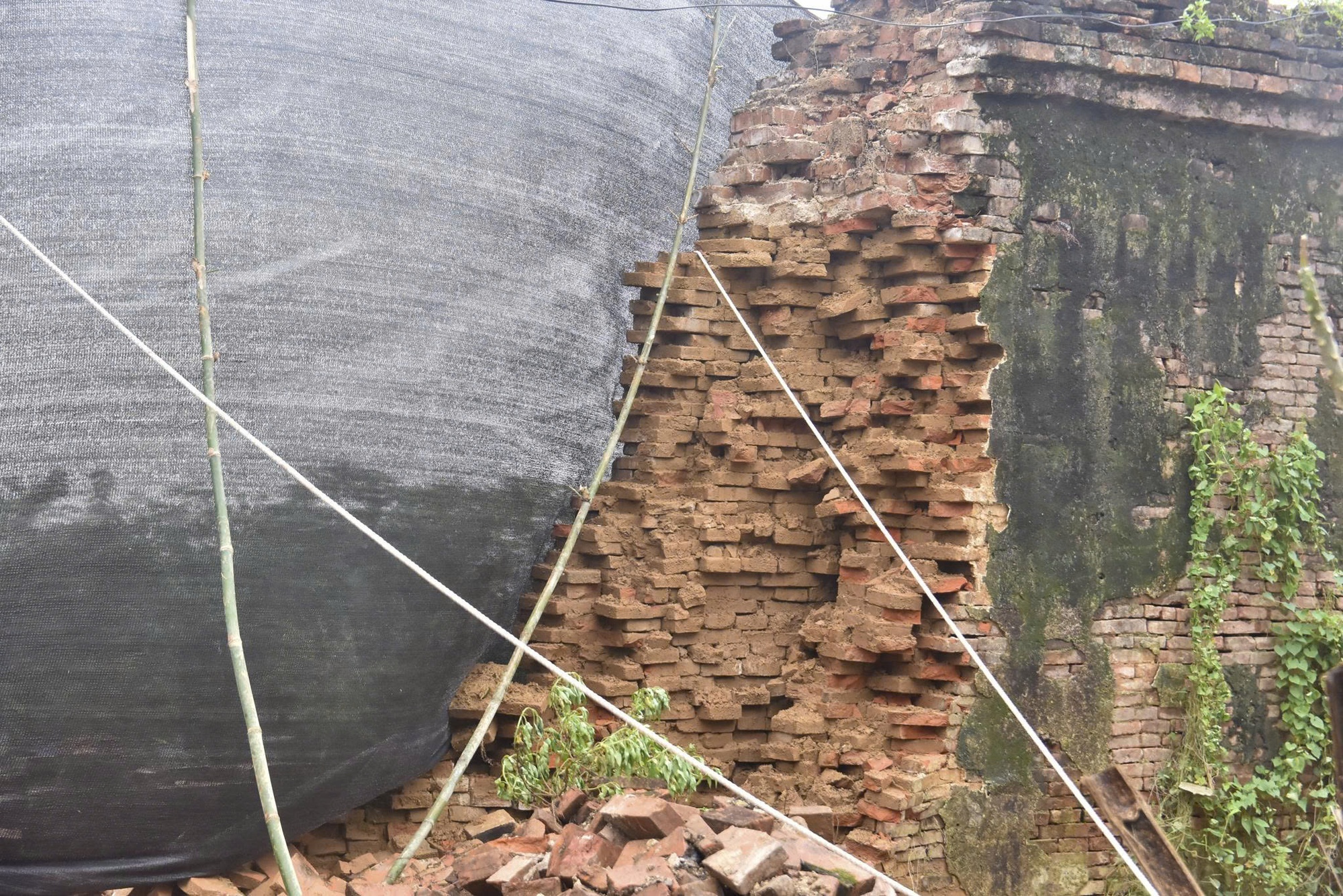 Giám đốc Trung tâm Bảo tồn Di tích Cố đô Huế tiết lộ hiện tượng trước khi tường Hoàng thành sập- Ảnh 4. Giám đốc Trung tâm Bảo tồn Di tích Cố đô Huế tiết lộ hiện tượng trước khi tường Hoàng thành sập- Ảnh 4.