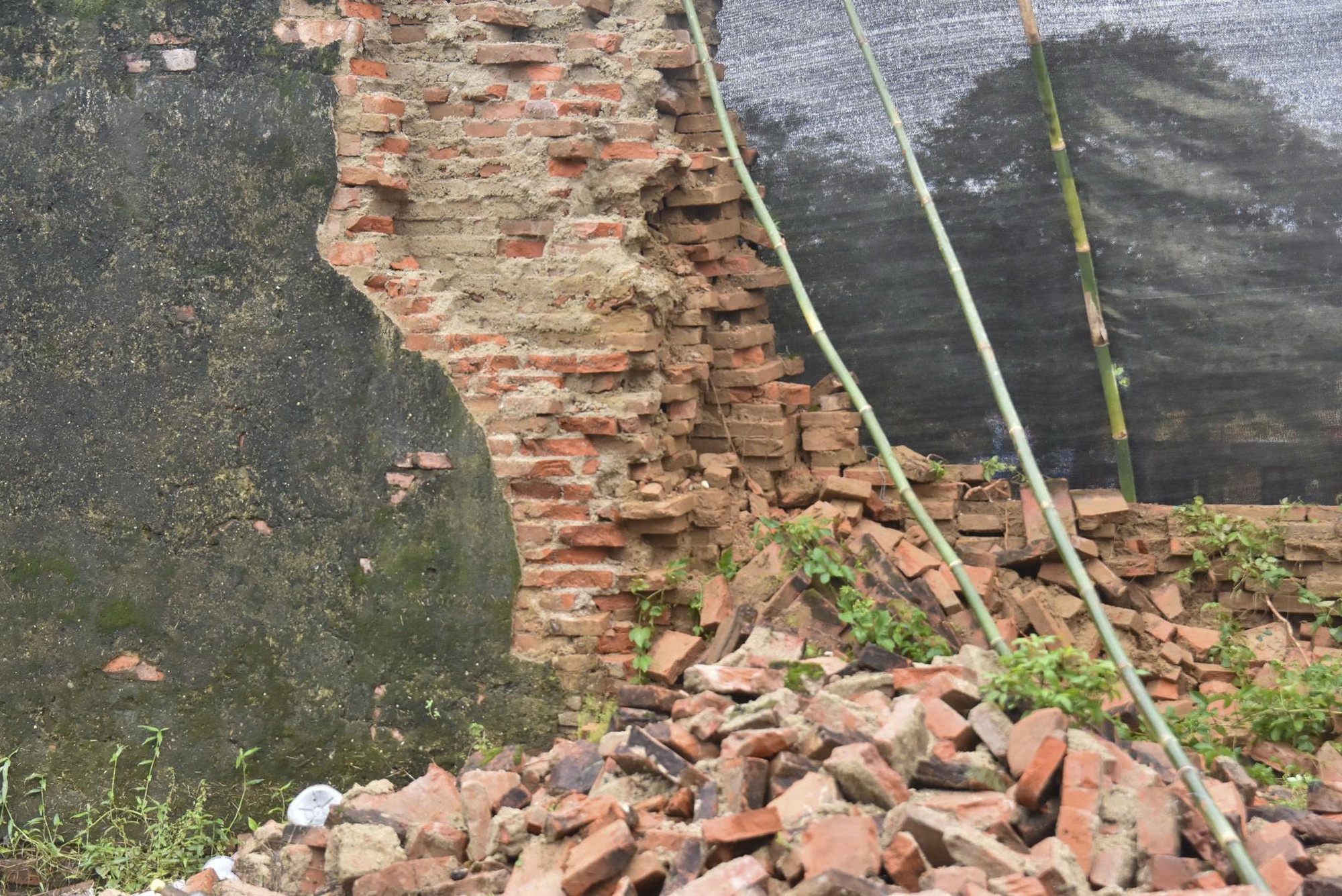 Giám đốc Trung tâm Bảo tồn Di tích Cố đô Huế tiết lộ hiện tượng trước khi tường Hoàng thành sập- Ảnh 3. Giám đốc Trung tâm Bảo tồn Di tích Cố đô Huế tiết lộ hiện tượng trước khi tường Hoàng thành sập- Ảnh 3.