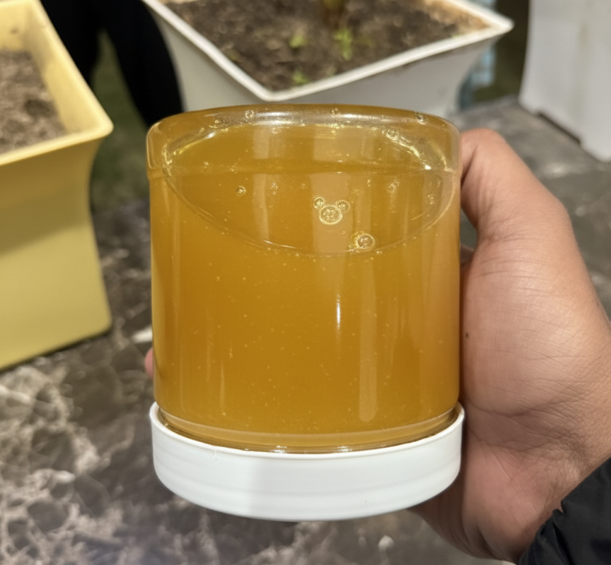 Tại sao phải lật ngược lọ mật ong khi mua? 5 mẹo "bắt bài" mật ong giả người "sành" mới biết - Ảnh 1.