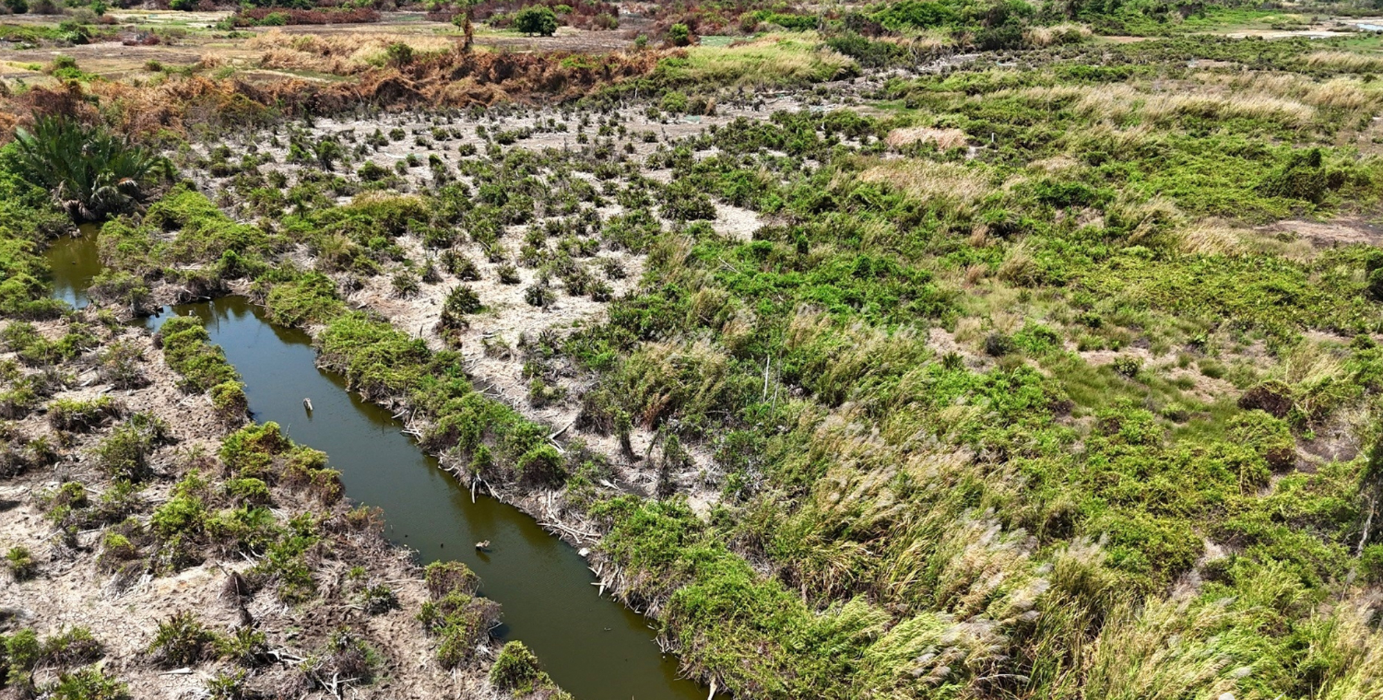 Con đường tỷ đô mới đang hình thành ở Vũng Tàu: Sun Group, Sunshine cùng hội tụ- Ảnh 7.