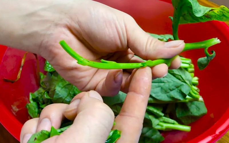 1 món rau “nhớt như dầu” nhưng người Nhật lại thích vì giúp trẻ lâu và ngừa ung thư, ở Việt Nam chợ nào cũng có- Ảnh 4.