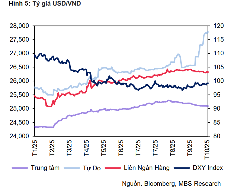 Tỷ giá USD chợ đen tăng hơn 8% từ đầu năm, riêng tháng 10 tăng gần 5% - Ảnh 2.
