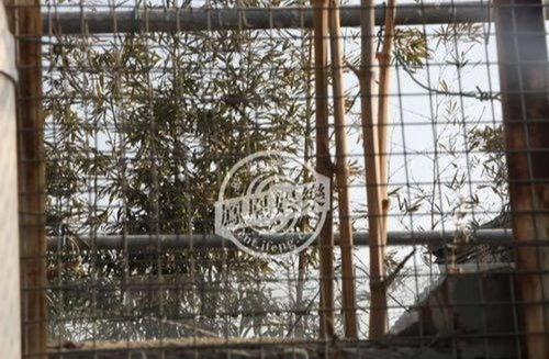 Nữ diễn viên hạng A sống trong căn nhà 300 tỷ- Ảnh 6.