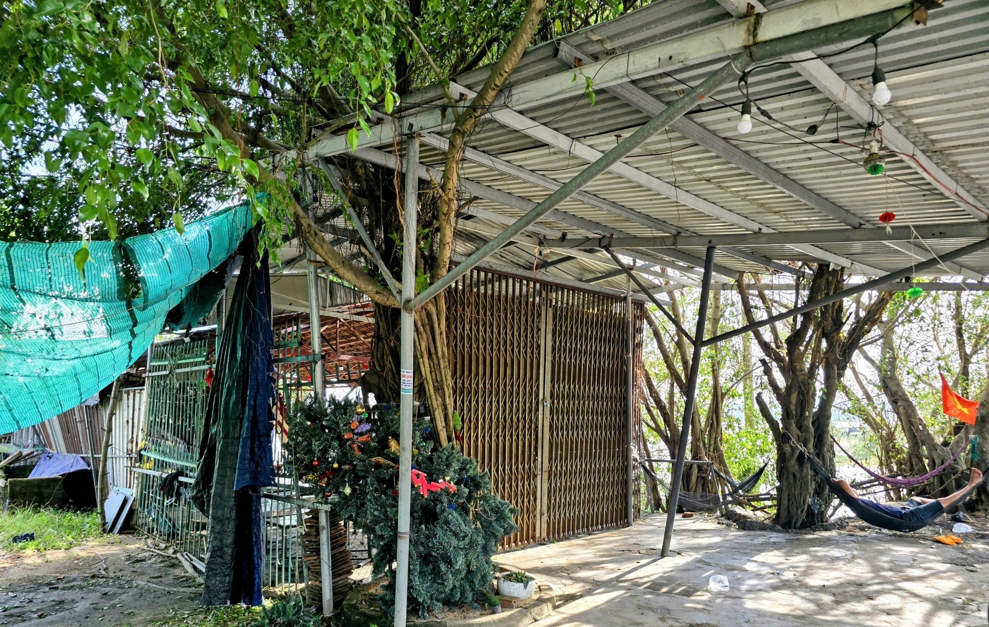 Cầu gỗ Ông Cọp "biến mất" sau bão số 13 - Ảnh 2.