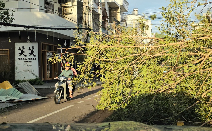 Bão số 13 đi qua, Gia Lai thiệt hại nặng nề- Ảnh 4. Bão số 13 đi qua, Gia Lai thiệt hại nặng nề- Ảnh 4.