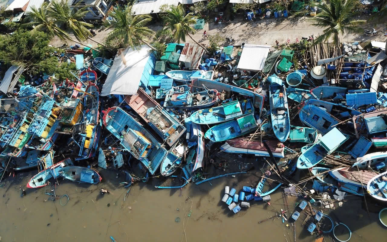 - Ảnh 1. - Ảnh 1.