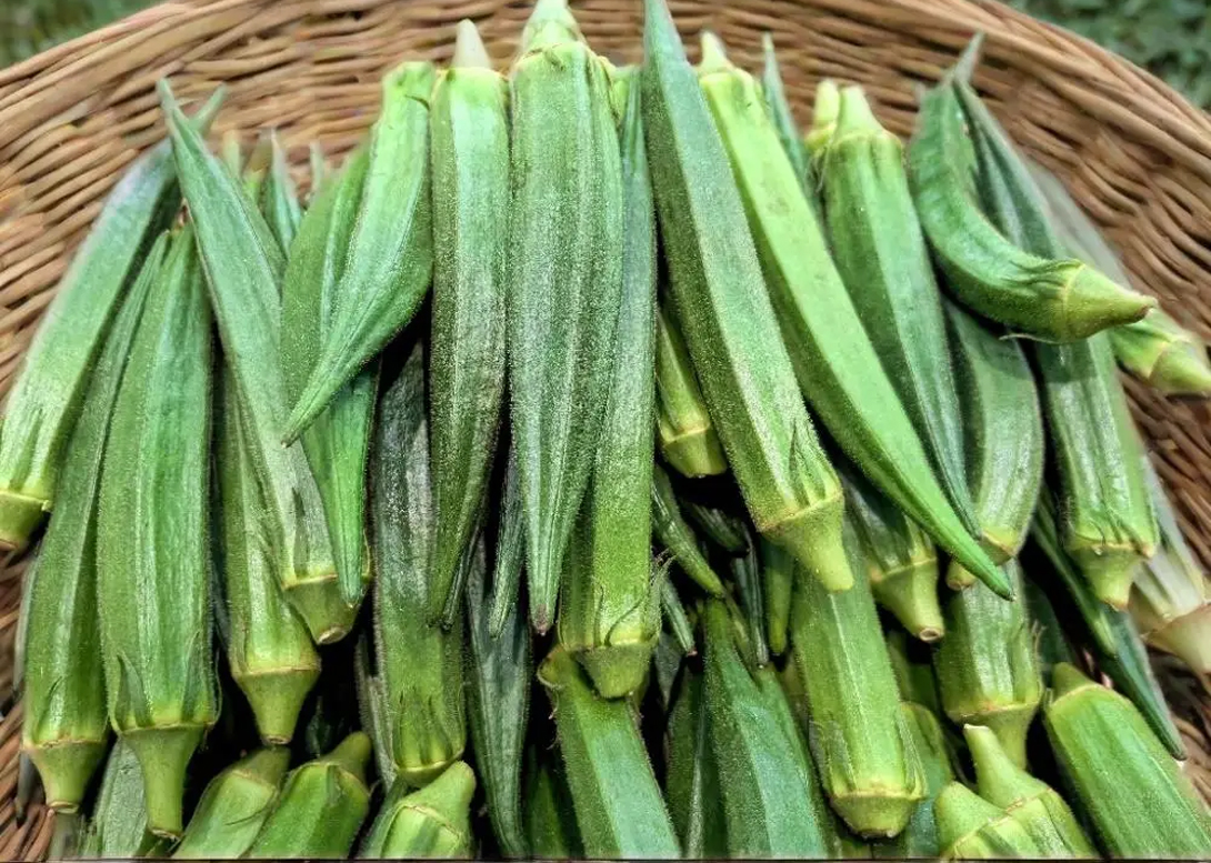 Rau chợ mùa này đầy rẫy hóa chất, nhưng 5 loại rau "ít thuốc, siêu lành" này ai cũng nên ăn- Ảnh 1. Rau chợ mùa này đầy rẫy hóa chất, nhưng 5 loại rau "ít thuốc, siêu lành" này ai cũng nên ăn- Ảnh 1.