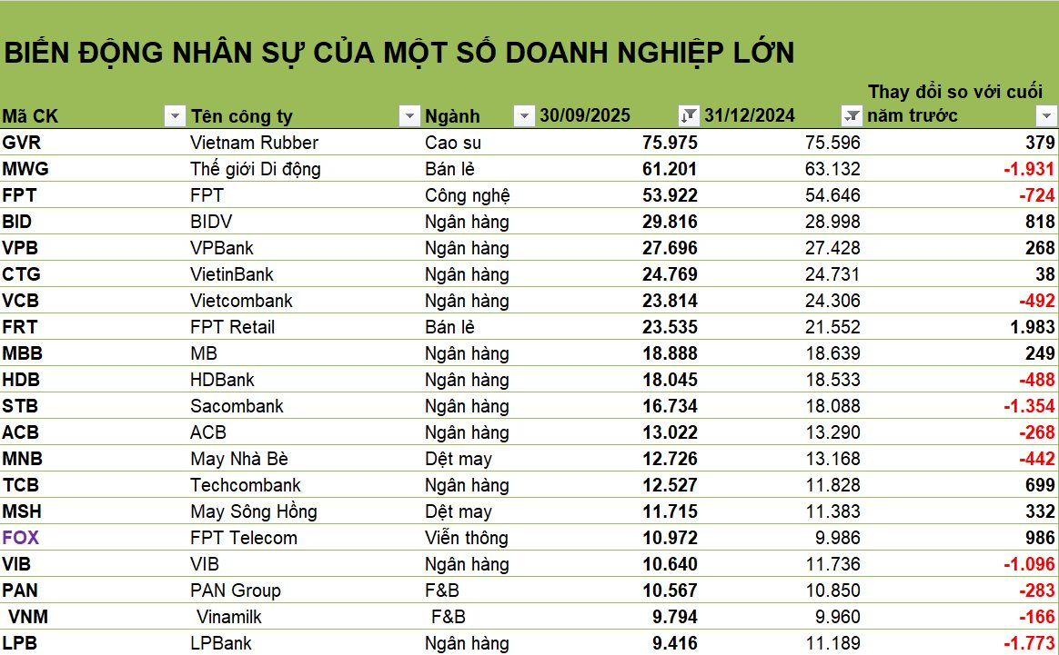 Làn sóng 'cắt' nhân sự 9T2025: 1 công ty giảm gần 2.500 người, 3 ngân hàng giảm hơn 1.000 người, FPT Retail tăng gần 2.000 người- Ảnh 2.