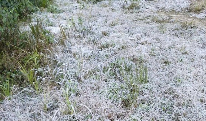 Nhiệt độ dưới 0 độ C gây băng giá ở miền núi Nghệ An , người dân lo lắng - Ảnh 1. Nhiệt độ dưới 0 độ C gây băng giá ở miền núi Nghệ An , người dân lo lắng - Ảnh 1.