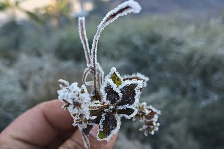 Nhiệt độ dưới 0 độ C gây băng giá ở miền núi Nghệ An , người dân lo lắng - Ảnh 2. Nhiệt độ dưới 0 độ C gây băng giá ở miền núi Nghệ An , người dân lo lắng - Ảnh 2.