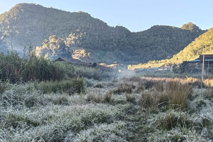 Nhiệt độ dưới 0 độ C gây băng giá ở miền núi Nghệ An , người dân lo lắng - Ảnh 3. Nhiệt độ dưới 0 độ C gây băng giá ở miền núi Nghệ An , người dân lo lắng - Ảnh 3.