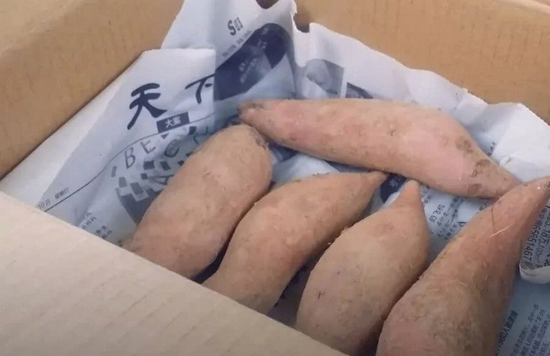 7 Lọai rau không nên để tủ lạnh: Cách bảo quản thông minh cho sức khỏe - Ảnh 4. 7 Lọai rau không nên để tủ lạnh: Cách bảo quản thông minh cho sức khỏe - Ảnh 4.