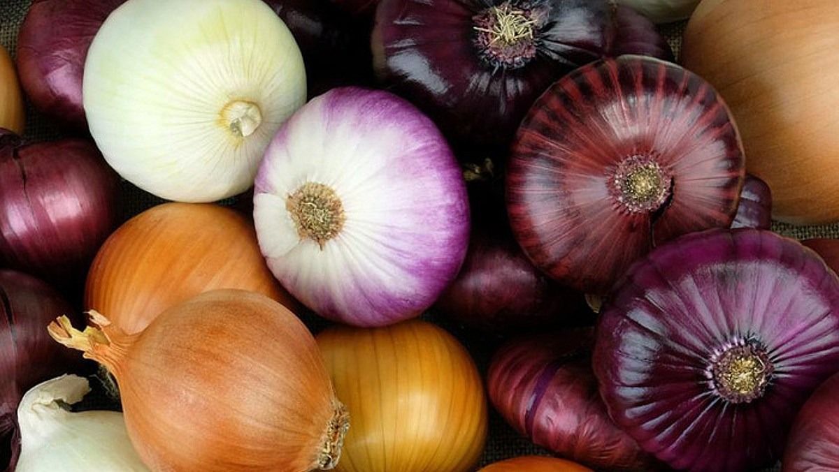 Mẹo sử dụng hành tây: 4 Công dụng thần kỳ không thể bỏ qua trong cuộc sống hàng ngày - Ảnh 2. Mẹo sử dụng hành tây: 4 Công dụng thần kỳ không thể bỏ qua trong cuộc sống hàng ngày - Ảnh 2.