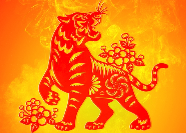 Tuổi Dần làm nghề gì nhanh giàu?- Ảnh 2.