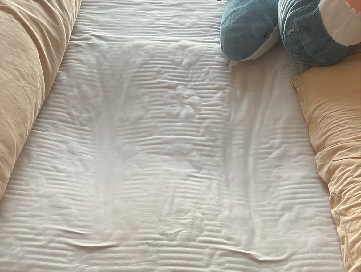 6 Đồ vật nên vứt sớm để bảo vệ sức khỏe gia đình bạn - Ảnh 2. 6 Đồ vật nên vứt sớm để bảo vệ sức khỏe gia đình bạn - Ảnh 2.