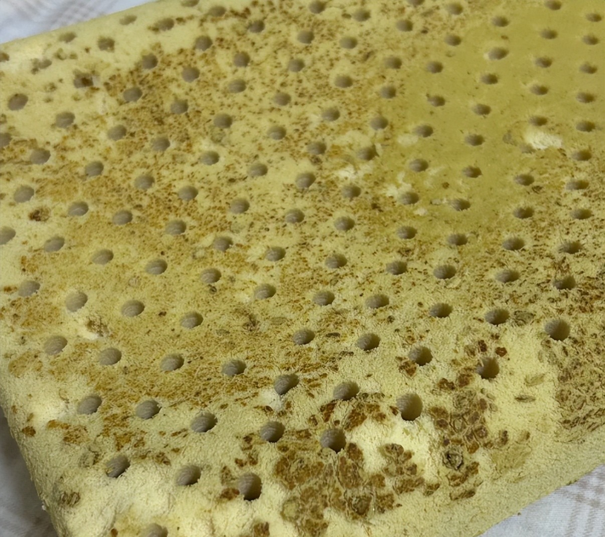 6 Đồ vật nên vứt sớm để bảo vệ sức khỏe gia đình bạn - Ảnh 6. 6 Đồ vật nên vứt sớm để bảo vệ sức khỏe gia đình bạn - Ảnh 6.