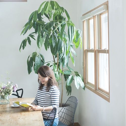 Người trung niên mua nhà: Tầng 5 hay tầng 25 giúp sống tiện hơn – tiết kiệm hơn?- Ảnh 2. Người trung niên mua nhà: Tầng 5 hay tầng 25 giúp sống tiện hơn – tiết kiệm hơn?- Ảnh 2.