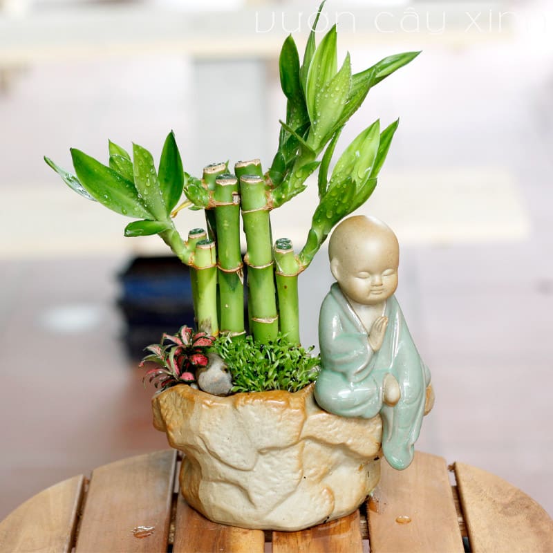 Cây phong thủy bàn làm việc giúp giảm stress và thu hút tài lộc cho bạn - Ảnh 3. Cây phong thủy bàn làm việc giúp giảm stress và thu hút tài lộc cho bạn - Ảnh 3.