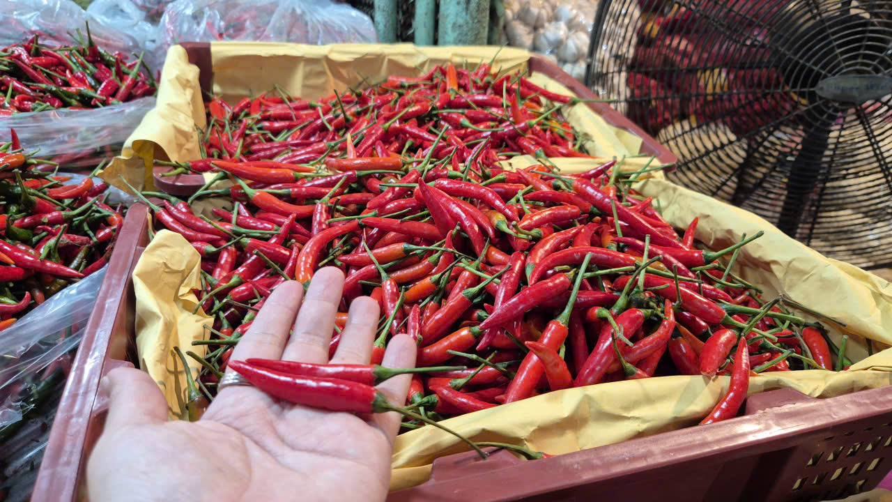 Việt Nam chi hơn 23 triệu USD nhập khẩu ớt trong bối cảnh bất ổn kinh tế - Ảnh 1. Việt Nam chi hơn 23 triệu USD nhập khẩu ớt trong bối cảnh bất ổn kinh tế - Ảnh 1.