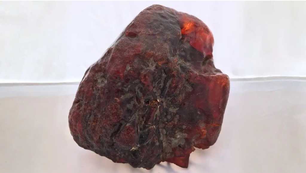 Di sản Tự nhiên hổ phách 29 tỷ đồng từ hòn đá chặn cửa của bà cụ Romania - Ảnh 1. Di sản Tự nhiên hổ phách 29 tỷ đồng từ hòn đá chặn cửa của bà cụ Romania - Ảnh 1.