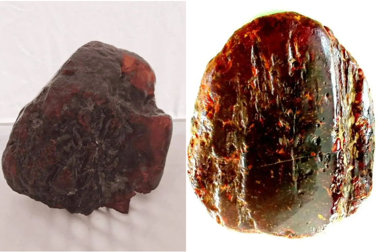 Di sản Tự nhiên hổ phách 29 tỷ đồng từ hòn đá chặn cửa của bà cụ Romania - Ảnh 2. Di sản Tự nhiên hổ phách 29 tỷ đồng từ hòn đá chặn cửa của bà cụ Romania - Ảnh 2.