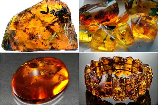 Di sản Tự nhiên hổ phách 29 tỷ đồng từ hòn đá chặn cửa của bà cụ Romania - Ảnh 5. Di sản Tự nhiên hổ phách 29 tỷ đồng từ hòn đá chặn cửa của bà cụ Romania - Ảnh 5.