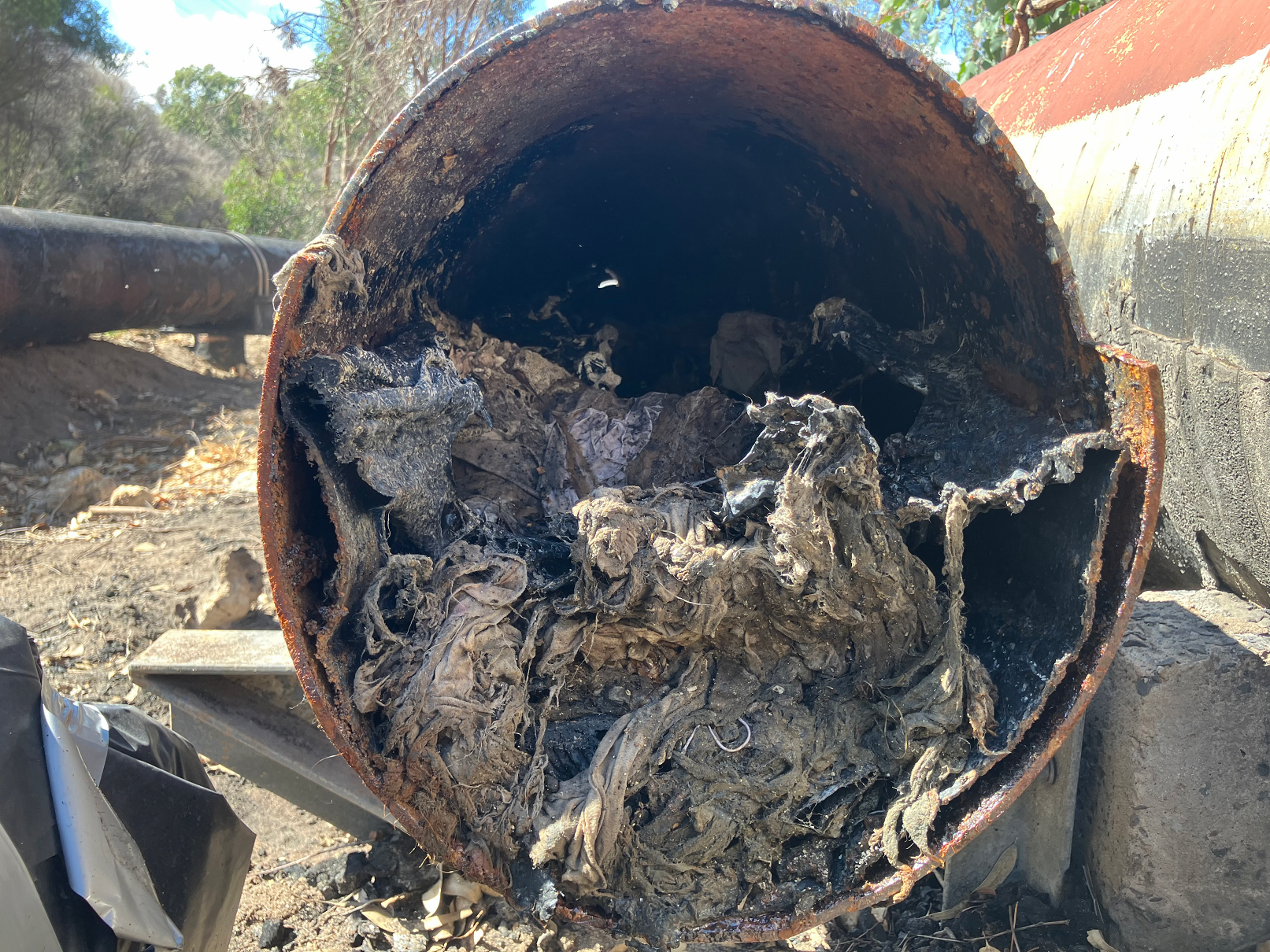 5 Thứ không được đổ xuống cống để bảo vệ Hệ thống nước thải của bạn - Ảnh 2. 5 Thứ không được đổ xuống cống để bảo vệ Hệ thống nước thải của bạn - Ảnh 2.