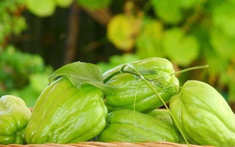 Su su mùa đông: Rau chứa selen gấp 50 lần hành tây , giúp tăng cường miễn dịch - Ảnh 1.