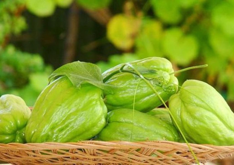 Su su mùa đông: Rau chứa selen gấp 50 lần hành tây , giúp tăng cường miễn dịch - Ảnh 2. Su su mùa đông: Rau chứa selen gấp 50 lần hành tây , giúp tăng cường miễn dịch - Ảnh 2.