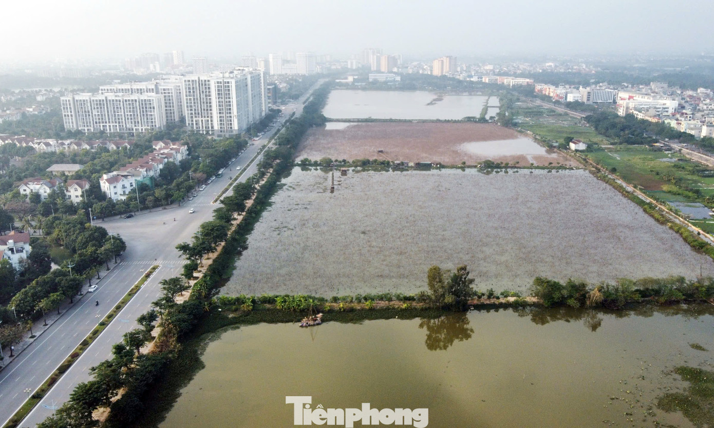 Cận cảnh dự án nhà ở xã hội Him Lam Phúc Lợi sát Vihomes Riverside tại Hà Nội - Ảnh 6. Cận cảnh dự án nhà ở xã hội Him Lam Phúc Lợi sát Vihomes Riverside tại Hà Nội - Ảnh 6.