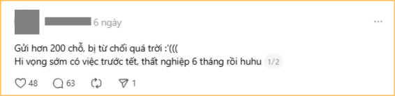 Rải CV không hiệu quả , thất nghiệp và khó khăn Trong dịp Tết - Ảnh 2. Rải CV không hiệu quả , thất nghiệp và khó khăn Trong dịp Tết - Ảnh 2.