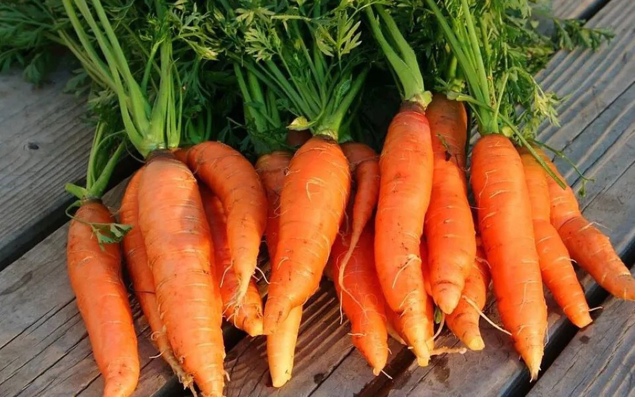 4 Lọai thực phẩm chứa vi nhựa trong thực phẩm mà người Việt vẫn ăn hàng ngày - Ảnh 1.