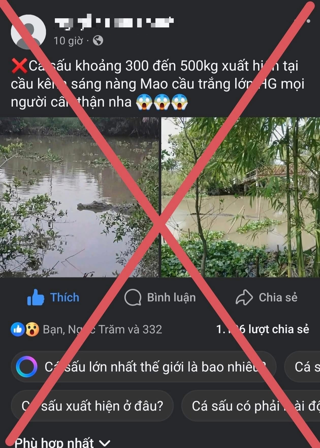 Tin giả cá sấu "khủng" xuất hiện gây hoang mang thật ở Cần Thơ - Ảnh 1. Tin giả cá sấu "khủng" xuất hiện gây hoang mang thật ở Cần Thơ - Ảnh 1.