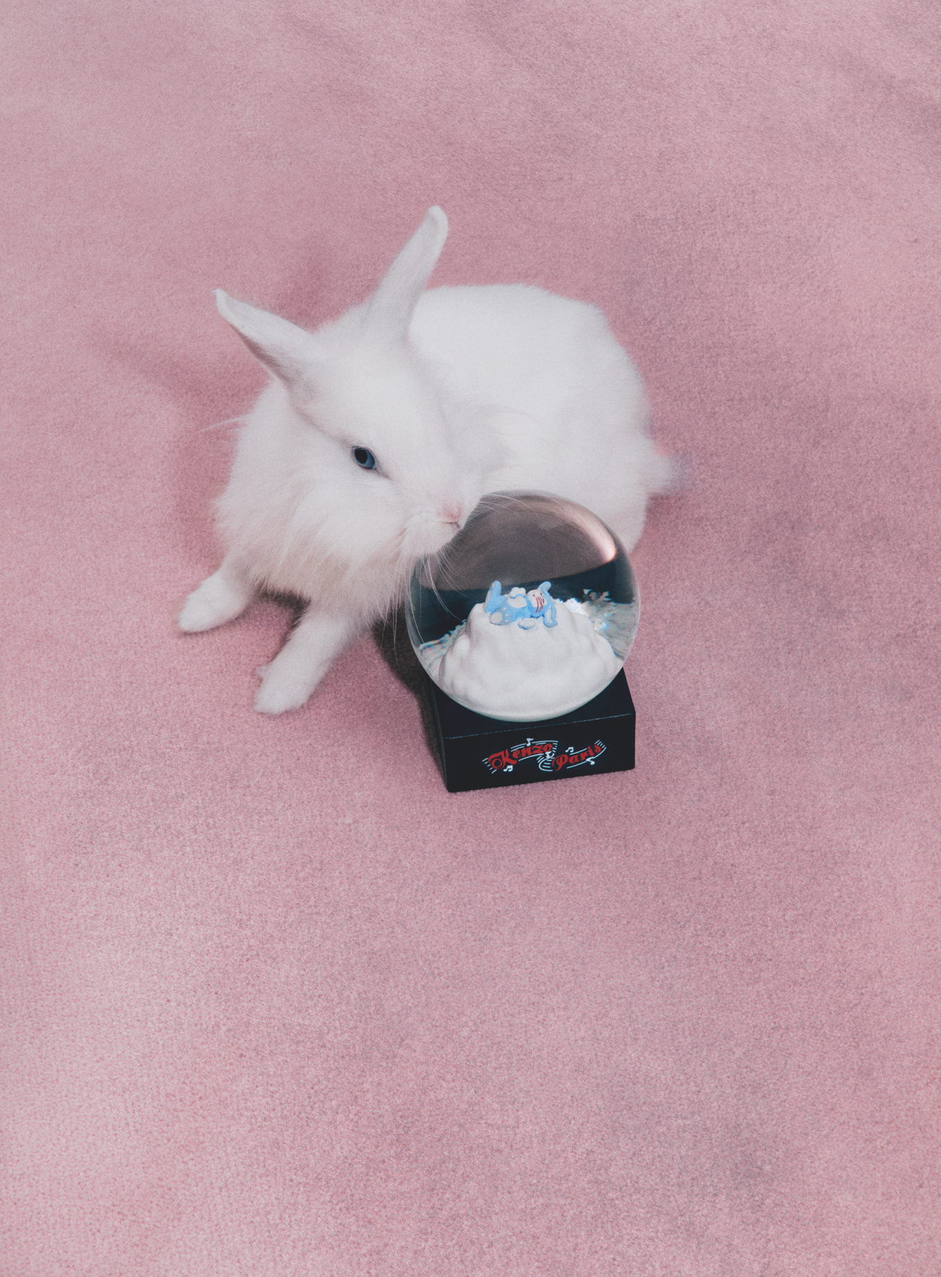 Kenzo Winter Holidays 2026: Trở về ký ức tuổi thơ trong mùa lễ hội đầy sắc màu - Ảnh 2.