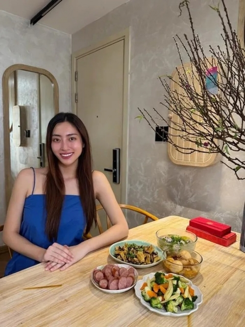 Lương thùy Linh: Nữ giúp việc học Tiến sĩ sống trong penthouse view Hồ Tây - Ảnh 11.