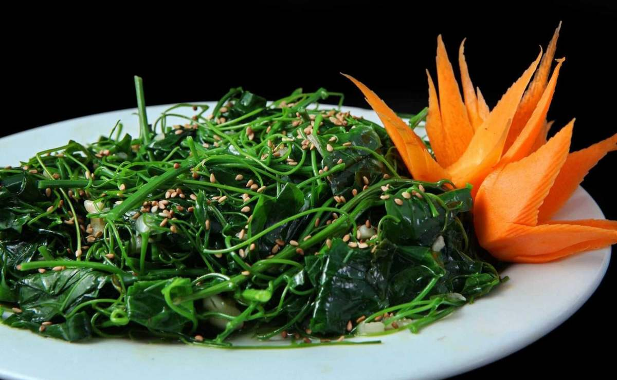 Rau tầm bóp - đặc sản bổ dưỡng , dễ tìm mà khó mua - Ảnh 2.