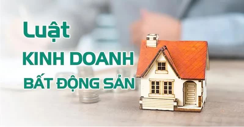TP Hồ Chí Minh "mạnh tay" với những dự án bất động sản chưa đủ pháp lý mở bán- Ảnh 1. TP Hồ Chí Minh "mạnh tay" với những dự án bất động sản chưa đủ pháp lý mở bán- Ảnh 1.
