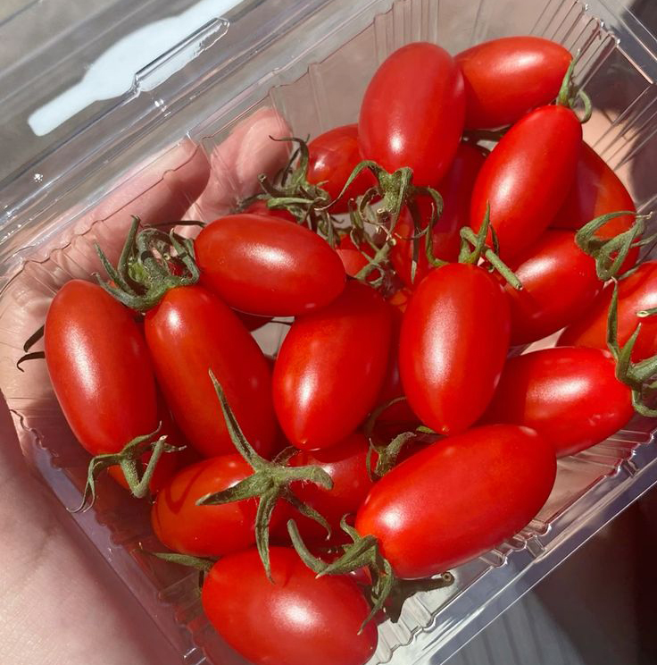 Top 10 thực phẩm chống lão hóa da được Bác sĩ Nhật khen ngợi cho làn da khỏe đẹp - Ảnh 3.