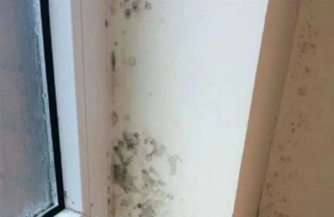 Chi phí sinh hoạt cao hơn khi sống trong căn hộ góc: Những điều Cần biết - Ảnh 3. Chi phí sinh hoạt cao hơn khi sống trong căn hộ góc: Những điều Cần biết - Ảnh 3.