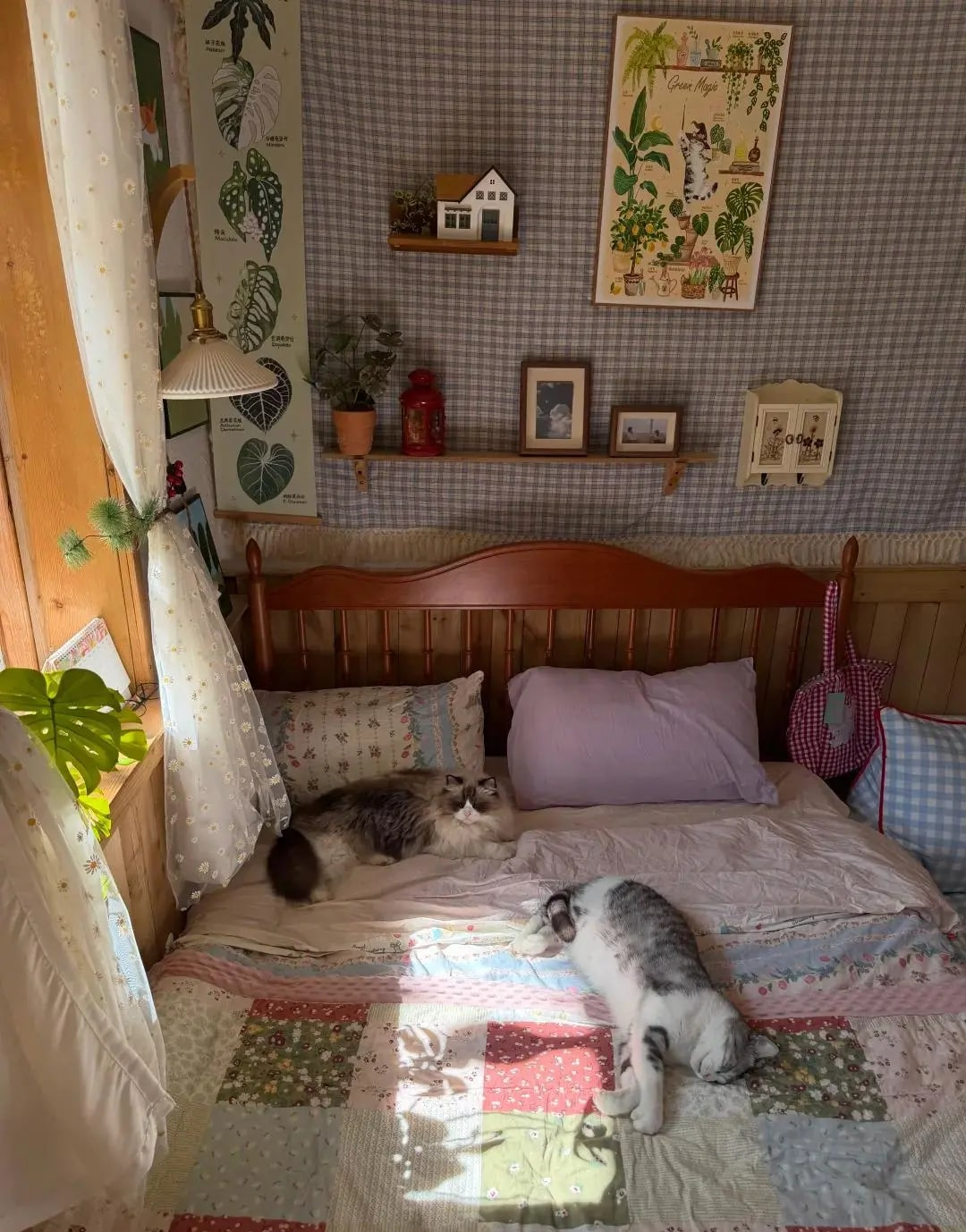 Tan chảy với căn hộ của cụ bà 70 tuổi: Sống bình yên 1 mình, không làm gánh nặng cho con cháu- Ảnh 2. Tan chảy với căn hộ của cụ bà 70 tuổi: Sống bình yên 1 mình, không làm gánh nặng cho con cháu- Ảnh 2.