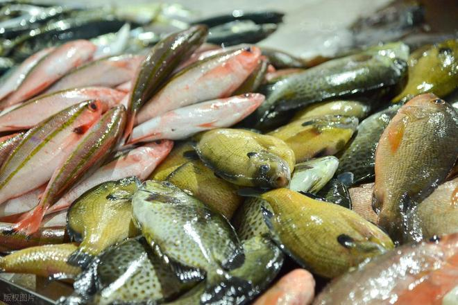 4 Lọai cá dễ tích tụ kim lọai nặng mà người bán cũng ít dám ăn - Ảnh 4. 4 Lọai cá dễ tích tụ kim lọai nặng mà người bán cũng ít dám ăn - Ảnh 4.